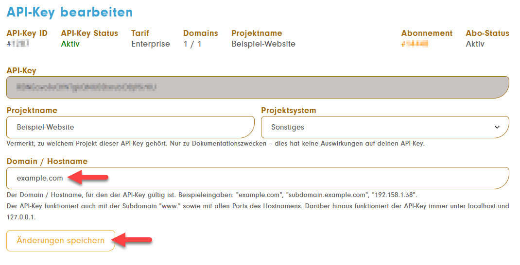 API-Key-Bearbeitung mit eingegebener Domain und Button 'Änderungen speichern'