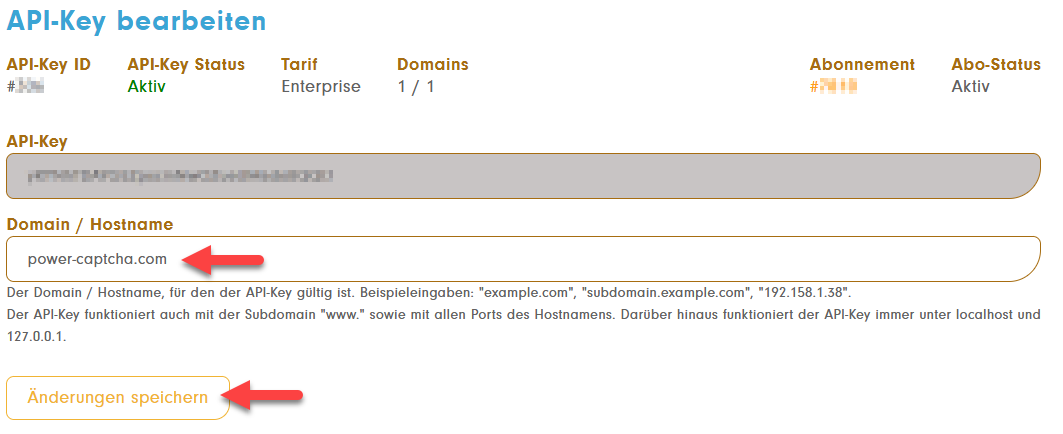 API-Key-Bearbeitung mit eingegebener Domain und Button &#39;Änderungen speichern&#39;