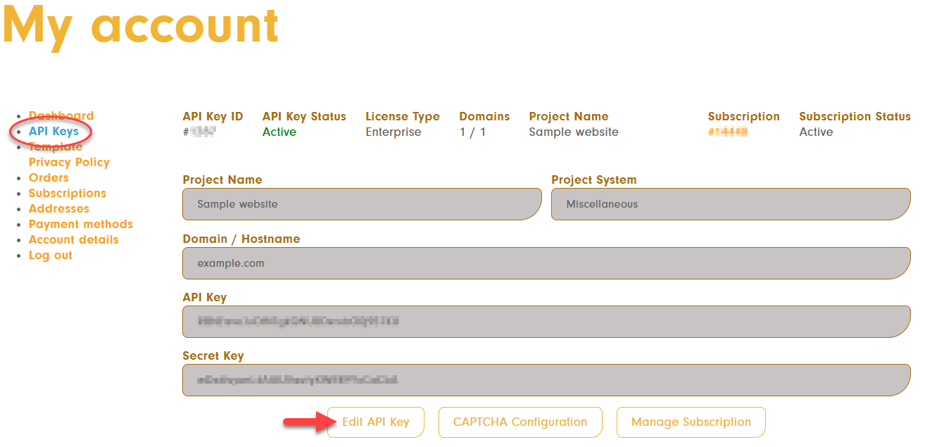 In the 'My Account' area of POWER CAPTCHA, the API key can be edited via the 'Edit API Key' button