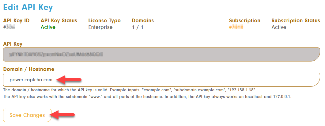 API key editing with entered domain and &#39;Save changes&#39; button