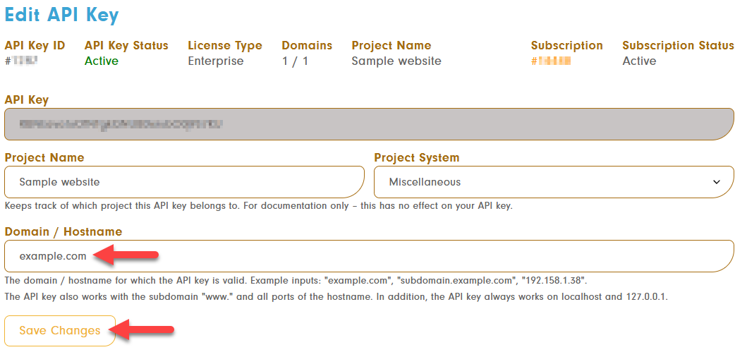 API key editing with entered domain and 'Save Changes' button