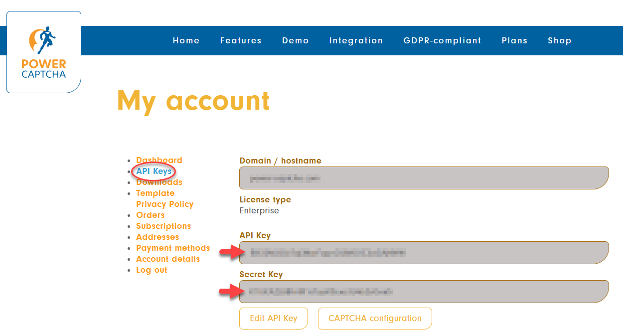 Menu item &#39;API Keys&#39; with displayed API key and secret key in the POWER CAPTCHA My account area